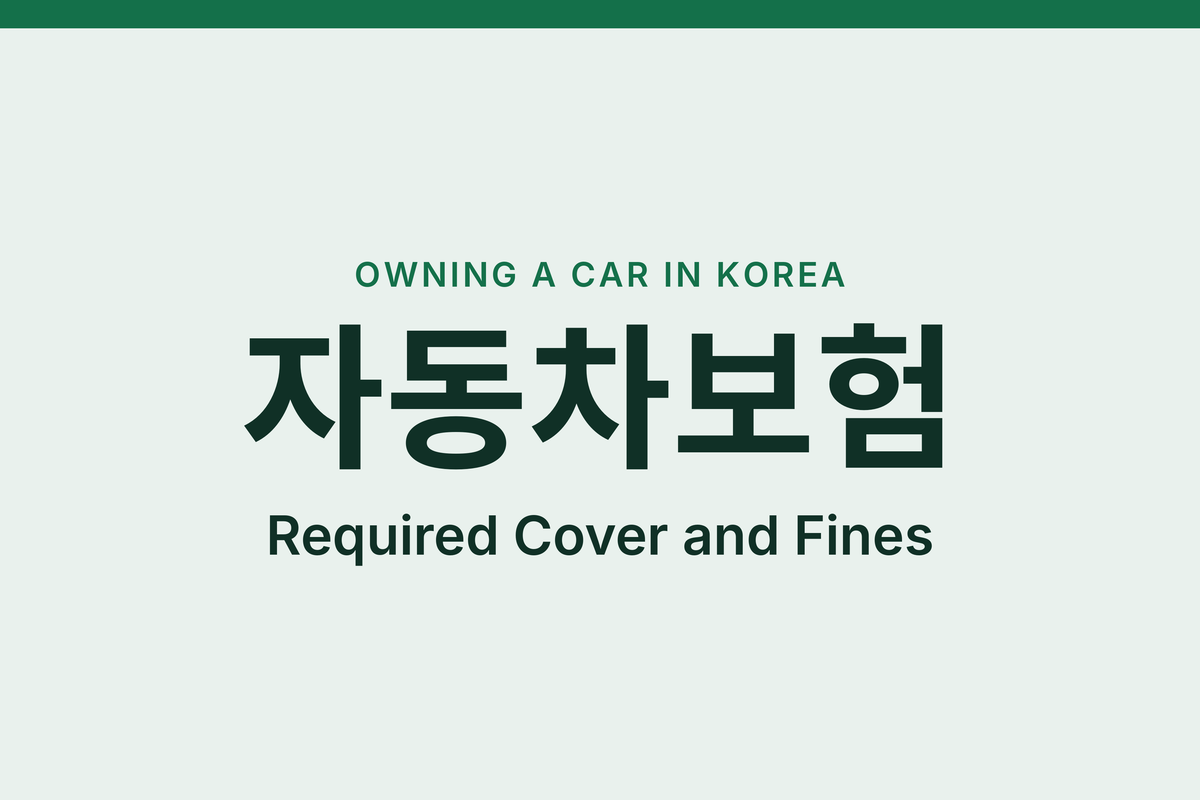Car Insurance in Korea for Foreigners: What You Must Have